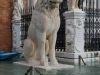 Lion with the runa scripts at Arsenale in high water.jpg